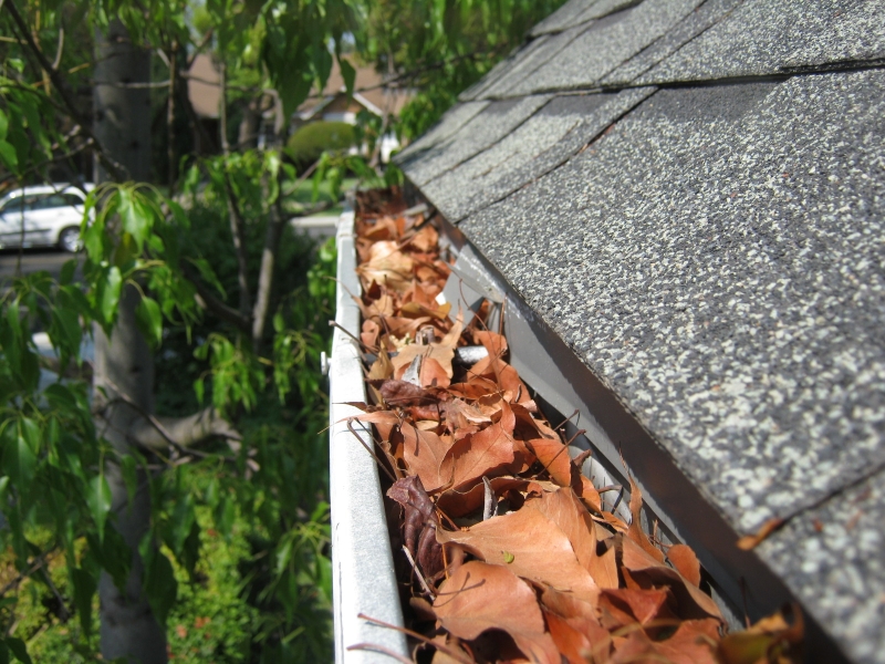 Gutter Installation